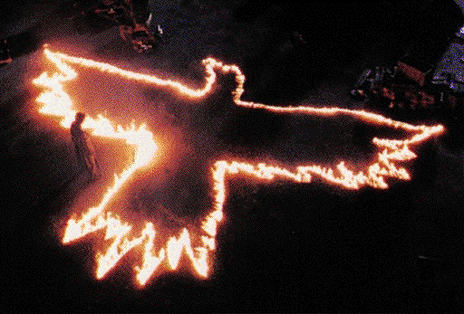 The Crow