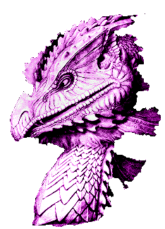 a dragon